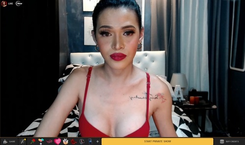 MyTrannyCams - Engage in a c2c chats with lovely shemales on your smartphone MyTrannyCams - Purchase models' premium photos and videos