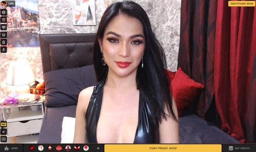 MyTrannyCams is a great premium trans site with kinky BDSM models