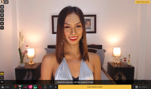 MyTrannyCams offers premium chats and an ASMR category