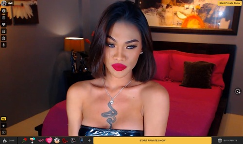 MyTrannyCams has an anal sex category for atm lovers