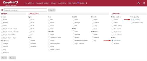 The advanced search tools available on BongaCams.com