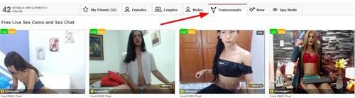 To find the tranny fuck cams, select the transsexuals tab from the BongaCams homepage.