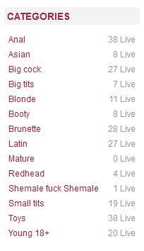 A reference as to the online models per category as displayed on BongaCams.com