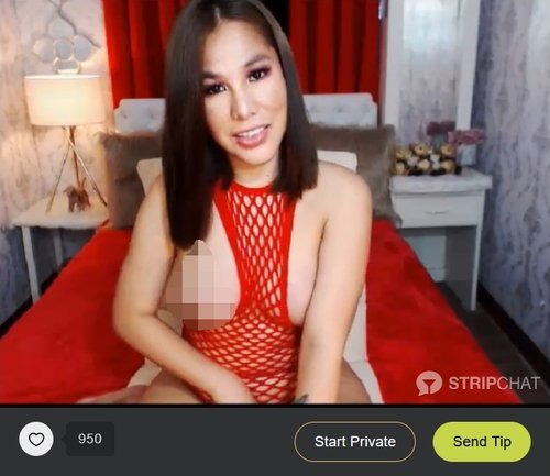 Stripchat - Tons of tranny cam performers you can take to a CBT live chat