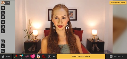 MyTrannyCams lets you pay for your private chats with Discover card