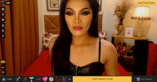 MyTrannyCams is one of the best premium cam sites featuring dominatrix trans models