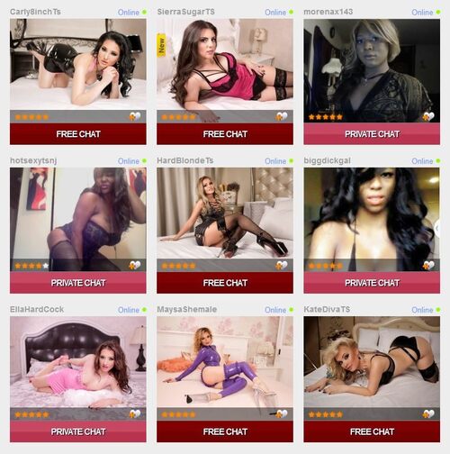 The homepage featuring available models for tranny video chat on TgirlsCams.com