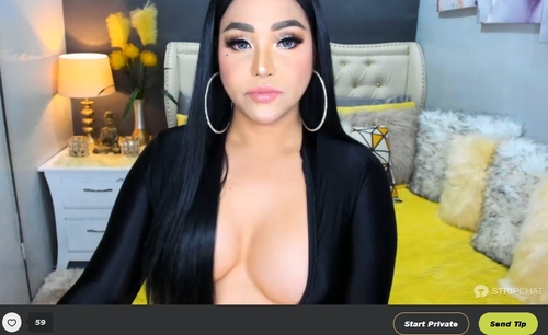 Stripchat tranny cam performers accept Bitcoin as payment