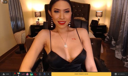 MyTrannyCams lets you pay for your private chats with gift cards